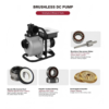 SSNF Solar-Powered Centrifugal Surface Pump Solar Water Pump with MPPT Controller for Drinking Water SSNF Solar-Powered Centrifugal Surface Pump Solar Water Pump with MPPT Controller for Drinking Water